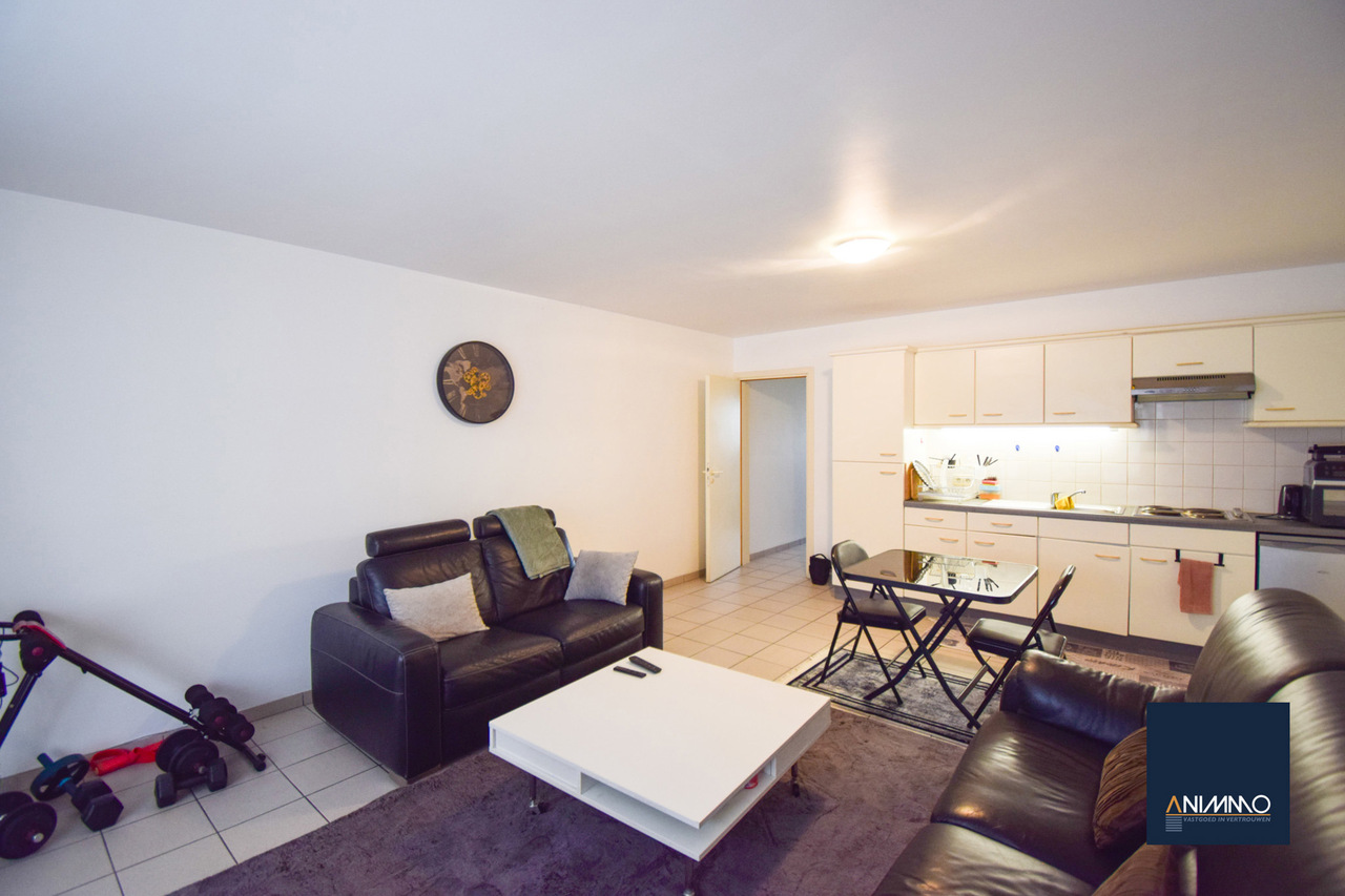 :Woningtype te :Stad